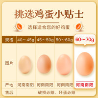 宛味宝谷物鸡蛋40枚*40g精选鸡蛋农林散养柴鸡蛋新鲜鸡蛋60g