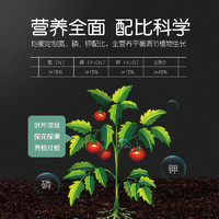 88VIP：STANLEY 史丹利 冬青专用复合肥 蔬菜农用有机种菜通用型 氮磷钾 家用