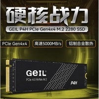 GeIL 金邦 2TB SSD固态硬盘 M.2接口(PCIe 4.0 x4)NVMe