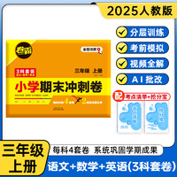 2025小学期末冲刺卷 模拟提升期末考试检验测试