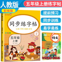 同步练字帖五年级语文上册 小学五年级语文同步练字帖专项训练书写字帖控笔训练 乐学熊 语文练字帖上册