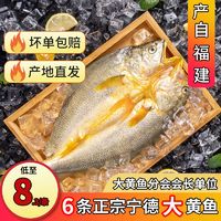 百亿补贴：三都港 宁德大黄鱼 6条/3条