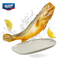 海名威 冰鲜大黄鱼4条/1.5kg  宁德大黄鱼 生鲜鱼类 源头直发