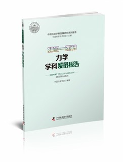 2018-2019力学学科发展报告/中国科协学科发展研究系列报告