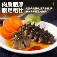 三只海豚大连即食海参鲜食辽参单个装500g