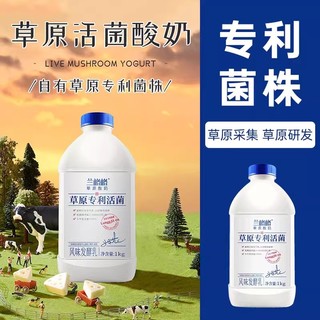 兰格格 草原酸奶1kg*2瓶内蒙古风味发酵乳酪早餐家庭装