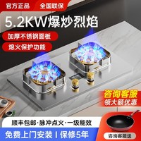 樱花雪 燃气灶5.2kw猛火煤气灶双灶家用天然气液化气不锈