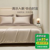 southbedding 南方寝饰 100%莱赛尔高端天丝四件套清凉丝滑轻奢纯色床单透气套件