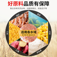 龙王恨鱼饵野战蓝鲫X5钓鱼饵料老三样野钓鲫鱼酒米窝料红虫拉丝粉