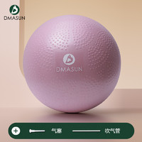 Dmasun 迪玛森 普拉提小球 盆底练习球 25cm