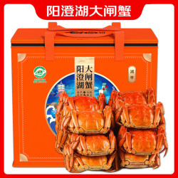精品阳澄湖大闸蟹公35两母25两8只礼盒装