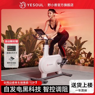 百亿补贴：YESOUL 野小兽 动感单车家用超静音磁控减肥健身车室内运动减肥器M2