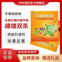 实蝇粘贴板引诱剂针蜂贴诱捕神器果园柑橘针蜂大小实蝇强效专用