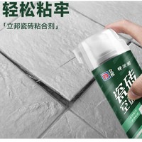 立邦 瓷砖修补剂瓷砖胶  650ml