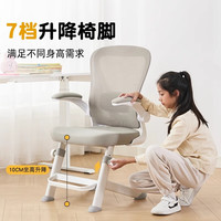 ai de sheng 爱德生 学习椅电脑椅人体工学椅久坐升降转椅 4D腰靠+7档可调节升降 灰色