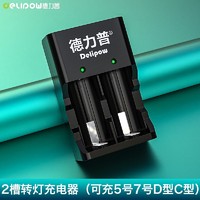 Delipow 德力普 充电电池 1号/D型大容量5000毫安电池套装配充电器 适用于热水器煤气灶 2槽充电器