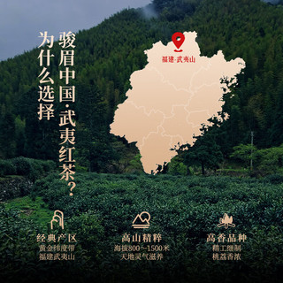 正山堂小种红茶 武夷红茶茶叶 2024新茶六雅系列  250g盖碗组合