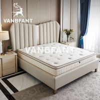 百亿补贴：Visney 卫诗理 万邦梵特弹簧床垫席梦思静音软硬两用25CM护脊床高密度海绵床垫S1