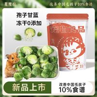 冻干孢子甘蓝小宠零食狗狗拌饭宠物蔬菜仓鼠金丝熊兔子花枝鼠零食