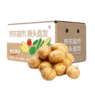 山东新鲜土豆 净重4.5斤 新鲜蔬菜 黄心马铃薯 源头直发