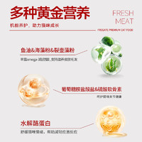 FREGATE 弗列加特 新品弗列加特0乳糖主食罐生牛乳湿粮95g*6猫罐头主食