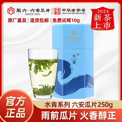 徽六 2024年新茶上市徽六六安瓜片春茶绿茶茶叶雨前一级水青系列250g