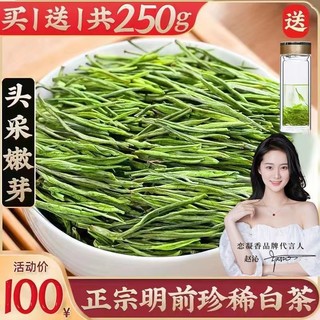 恋凝香 正宗明前珍稀白茶2024年新茶叶浓香型品质绿茶春茶罐装250g