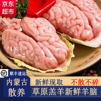 灵澈羊脑新鲜清真冷冻羊脑髓 脑花鲜羊脑羔羊烧烤食材 新鲜羊脑3斤（16-20个）