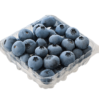 朕滋肴 新鲜蓝莓 125g*4盒单果18-22mm