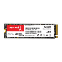 Great Wall 长城 1TB SSD固态硬盘 M.2接口(NVMe协议) PCIe4.0x4 读速5100MB/s GW5000系列