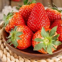 钱小二云南新鲜 红颜草莓 夏季草莓 现摘现发 当季大草莓 大果礼盒装 一盒15粒x4盒单盒约300g