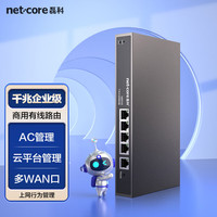磊科(netcore)NBR100企业有线路由器 全千兆多WAN口 支持宽带叠加/负载均衡/云端管理 稳定带机100台
