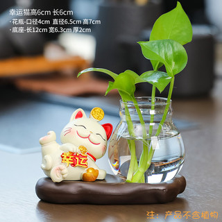 蕊杰 Ruijie 卡通招财猫家居饰品摆件茶桌水培植物玻璃花瓶水养器皿插花小摆设