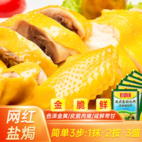 致美斋盐焗鸡粉广东客家盐局手撕鸡配料鸡翅爪家用沙姜粉360g