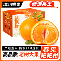 Kaooseen 靠森 四川春见耙耙柑 大果 1kg