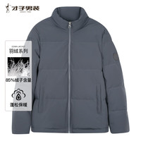 才子 TRIES羽绒服男士外套鸭绒24年秋冬保暖立领纯色面包服徽章简约户外上衣 灰色 3XL(185/100A)