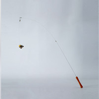 PawsHolic爪迷仿真昆虫可伸缩长杆猫玩具木天蓼自嗨解闷逗猫棒 黄小蝶逗猫棒