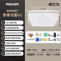 PHILIPS 飞利浦 9290029107 智睿流萤系列  LED客厅60W