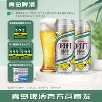 TSINGTAO 青岛啤酒 青岛纯生 8度 500ml*18罐啤 整箱包邮 直发