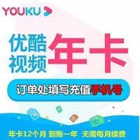 YOUKU 优酷 会员年卡 12个月