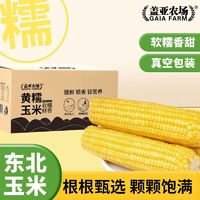 百亿补贴：盖亚农场 东北黄糯玉米180g*10支/箱真空包装糯玉米软糯鲜香甜粗粮