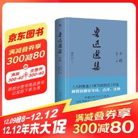 鲁迅选集：小说（精装典藏版，《人间鲁迅》作者、鲁迅研究家林贤治，全新导读+点评+释注）创美工厂