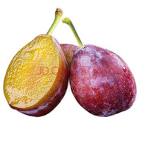 朕滋肴 新疆喀什 西梅 2斤装（单果25-35g）