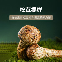 88VIP：大山合 DS&H 大山合 松茸鲜调味料 100g*3罐