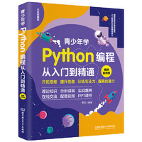 青少年学Python编程从入门到精通：视频案例版