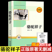 海底两万里和骆驼祥子原著正版完整版老舍七年级下册名著初中生课外书阅读老师推荐文学经典书籍全套配套阅读