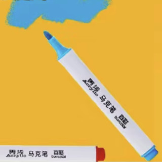 truecolor 真彩 丙烯马克笔小学生彩色笔DIY防水不透色涂鸦笔2支