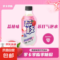 DAYUAN 达园 荔枝味苏打气泡水0糖0卡300ml*1瓶