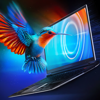 ThundeRobot 雷神 Zero 2024 16英寸 十四代酷睿版 游戏本 冰刃白(酷睿i9-14900HX、RTX 4070 8G、32GB、1TB SSD、2.5K、360Hz)