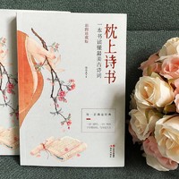 枕上诗书-一本书读懂最美古诗词(彩图珍藏版)诗经诗词歌赋